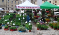 giardino-aromatiche-001