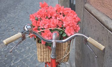 fiori-in-bicicletta-29-marzo-2018