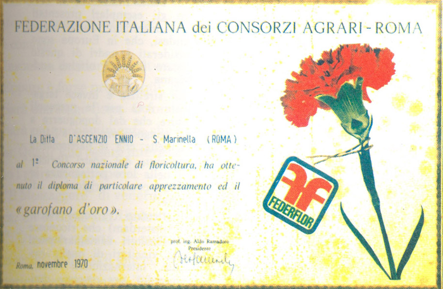 Anno 1970: garofano d’oro alla ditta D’Ascenzio Enno